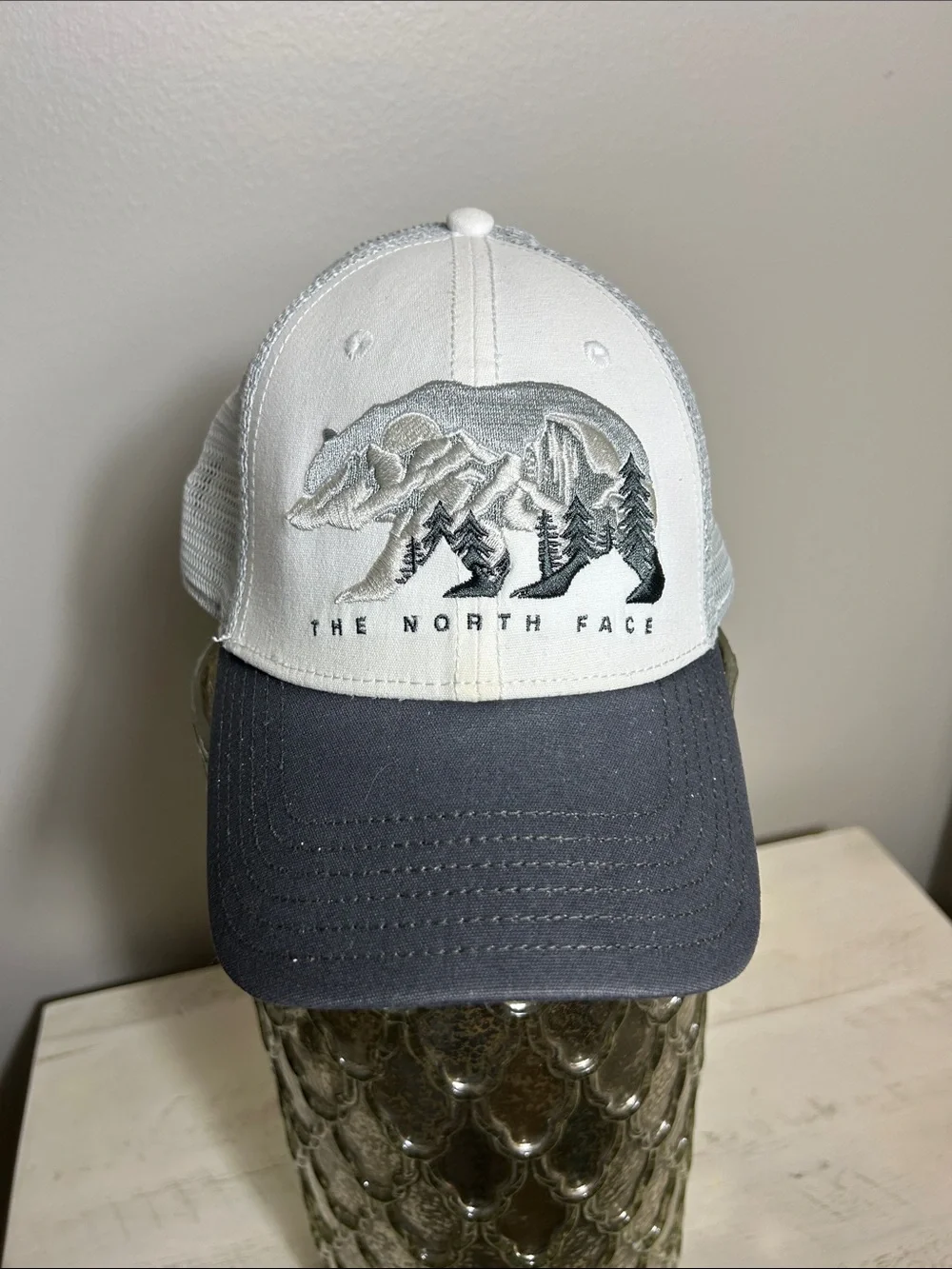 The North Face hat